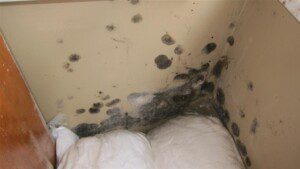 mold testing and mold sampling for real estate transactions in oregon