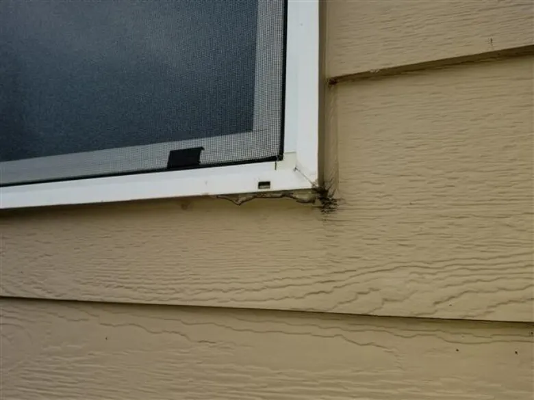 Exterior Sealant