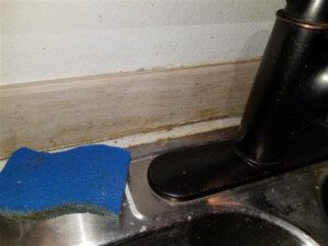 Sealant Near Kitchen Sink