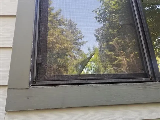 Repair bug screen