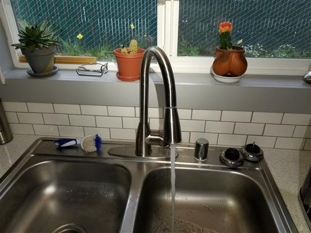 Leaking Kitchen Faucet
