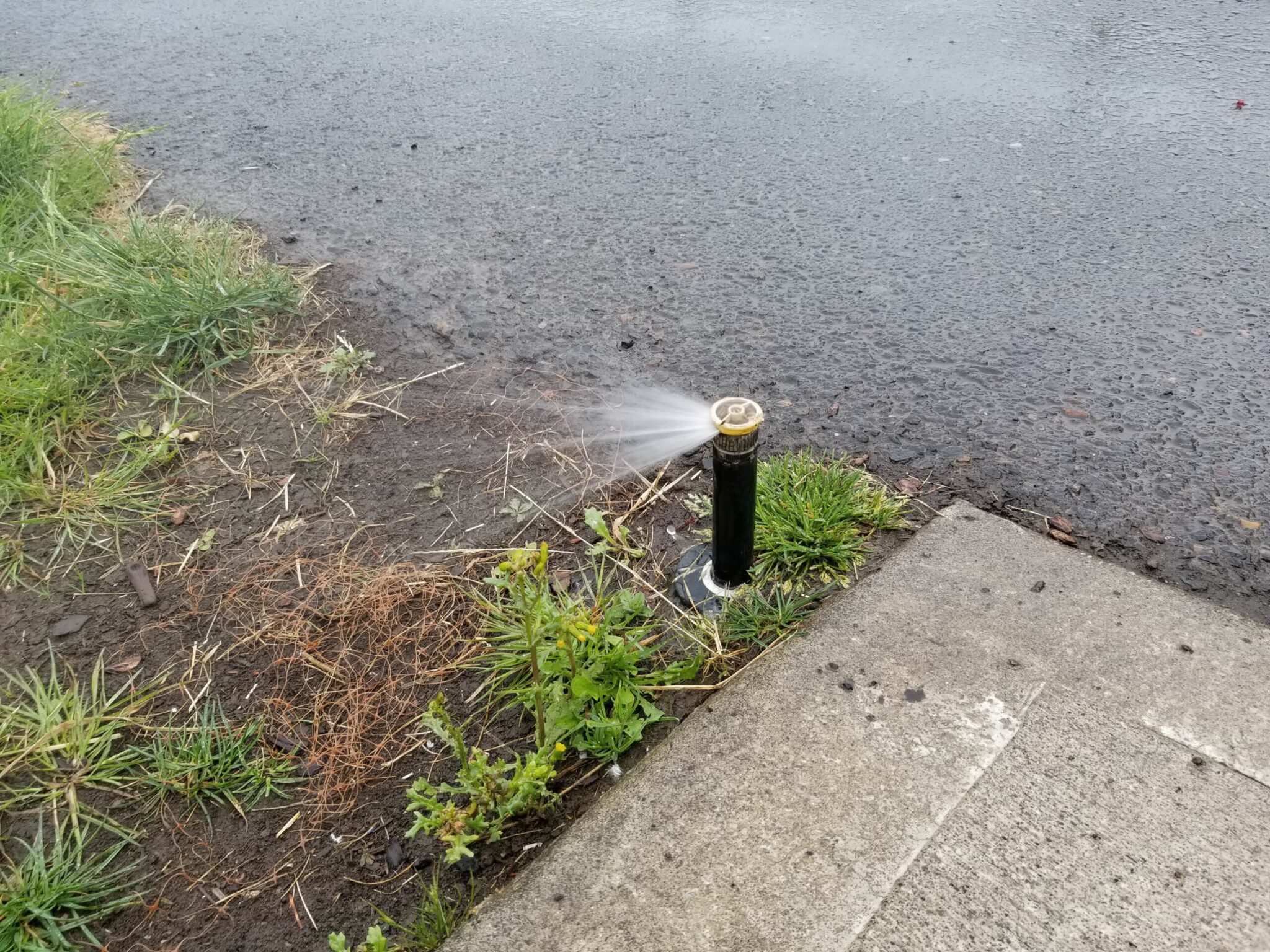 Testing Lawn Sprinklers during a home inspection