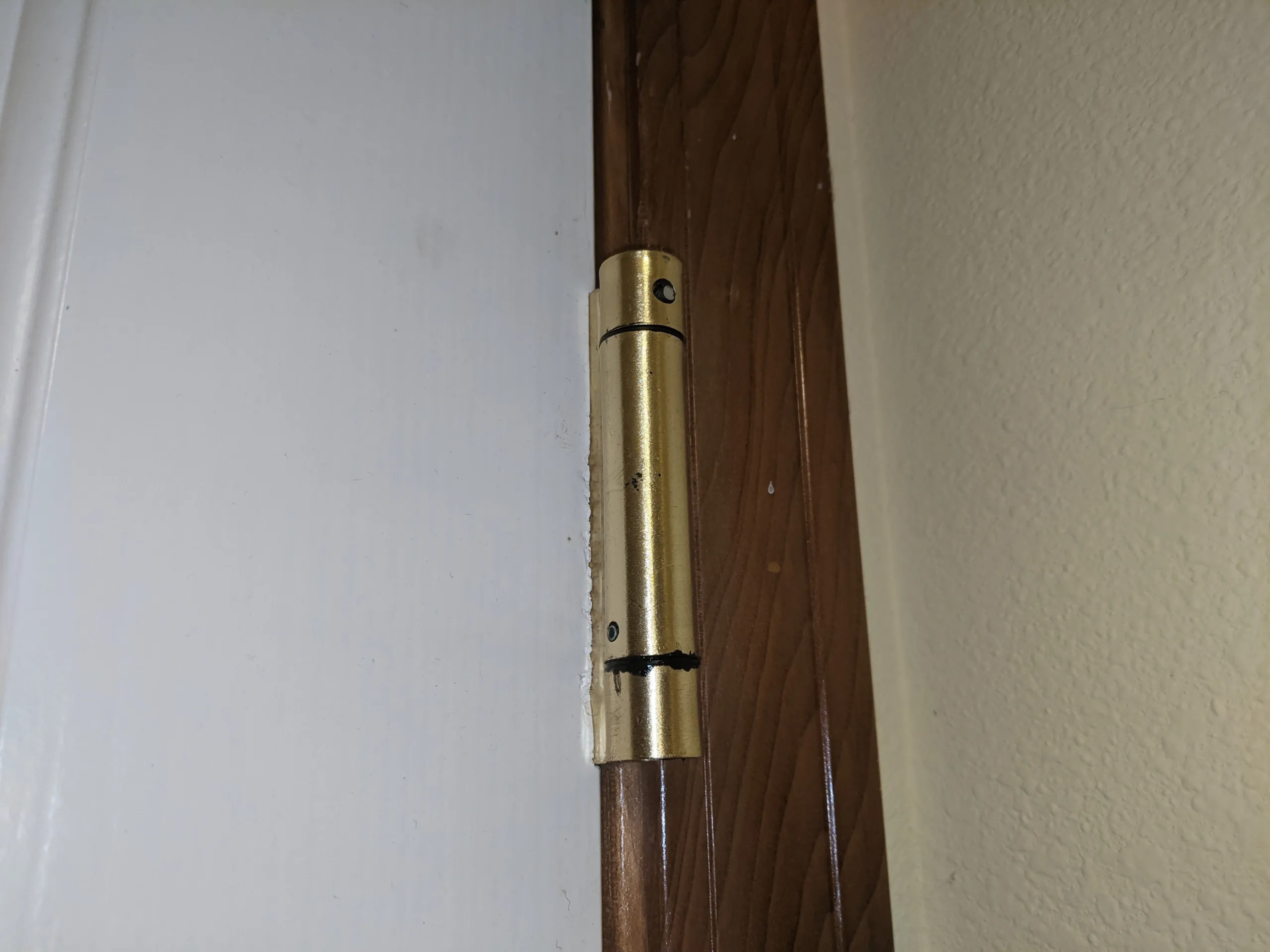 Self closing hinge for occupant door into the garage.