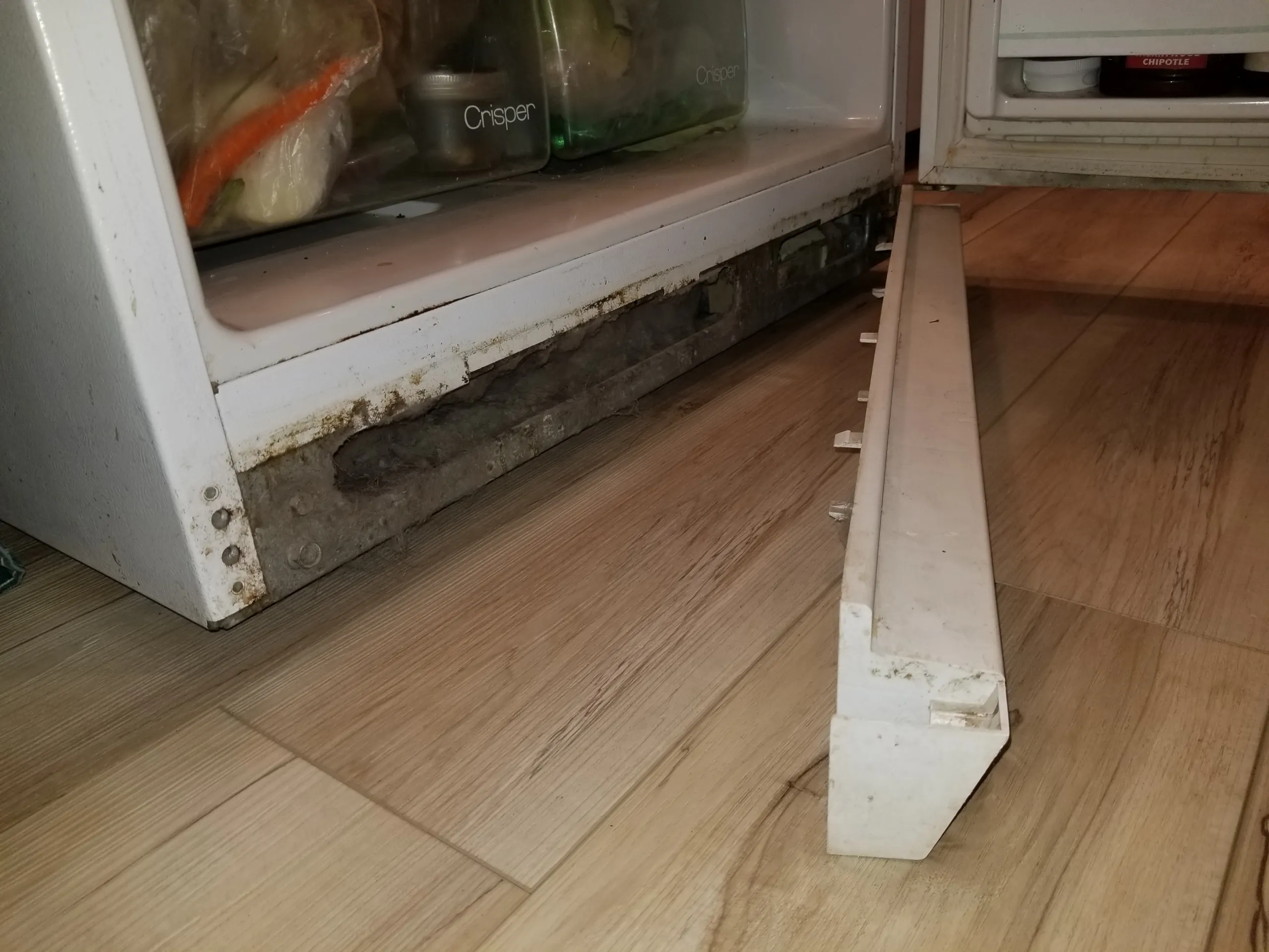 Dirty Refrigerant Coils on a Refrigerator - Nonprofit Home Inspections