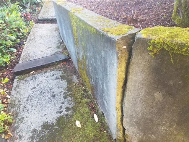 Failing retaining wall