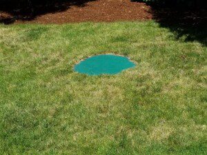 What is a septic system