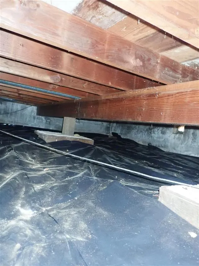 How to fix squeaky wood floors