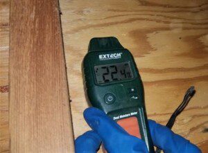 Using a moisture meter to test wood for conditions conducive to mold growth