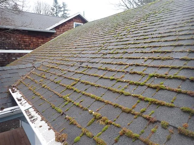 How to remove moss on a roof