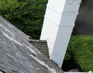 Chimney Cricket