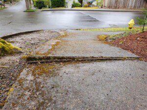 Sidewalk cracks