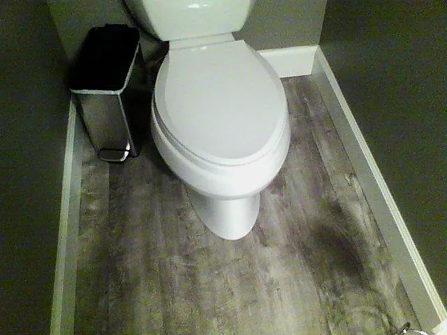 Replace Toilet Seal