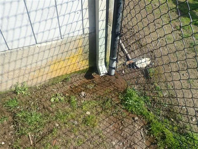 Downspouts too close