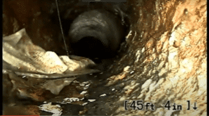Don't Flush Flushable Wipes