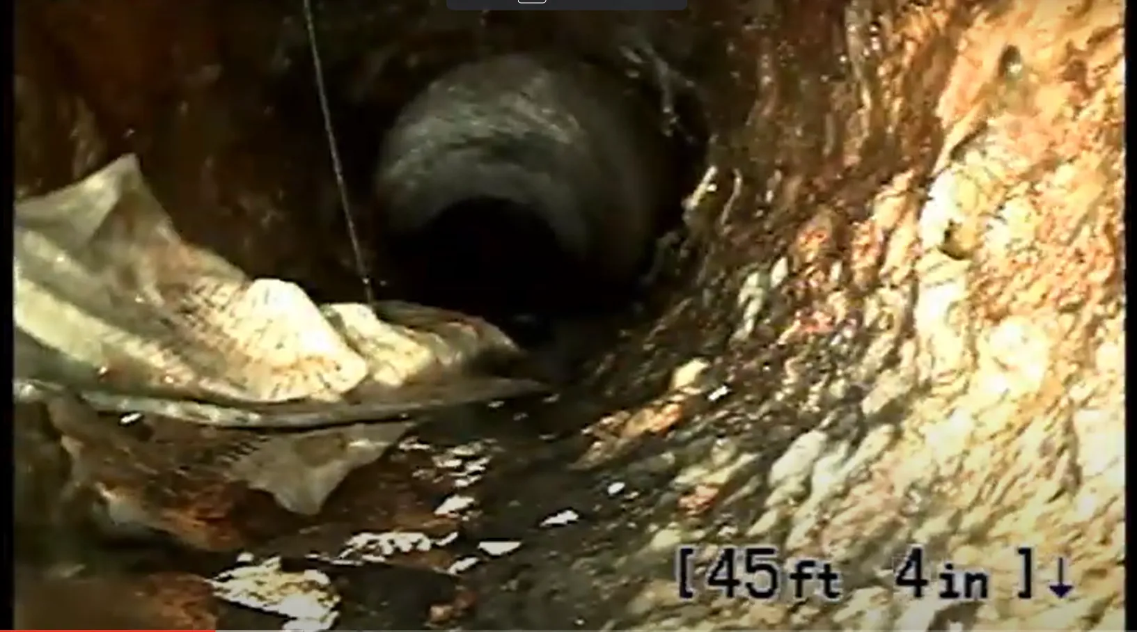Don't Flush Flushable Wipes
