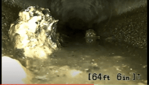Sewer line clogs