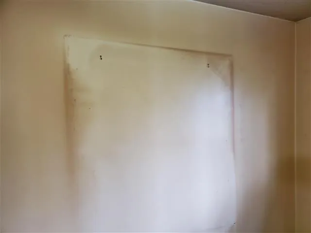 Smoke home inspection