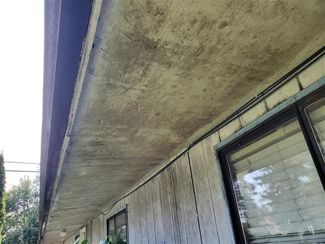 Soffit mold
