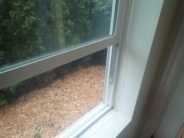 Window Balance Repair