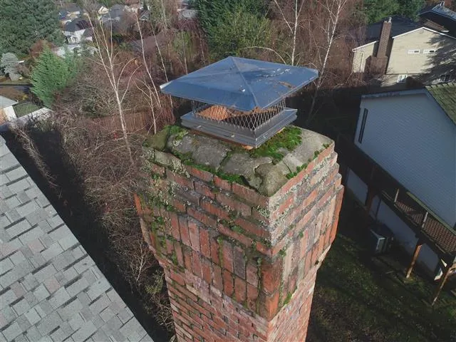 chimney inspection