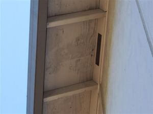 mold in soffit