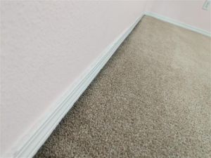 Carpet Filtration Soiling